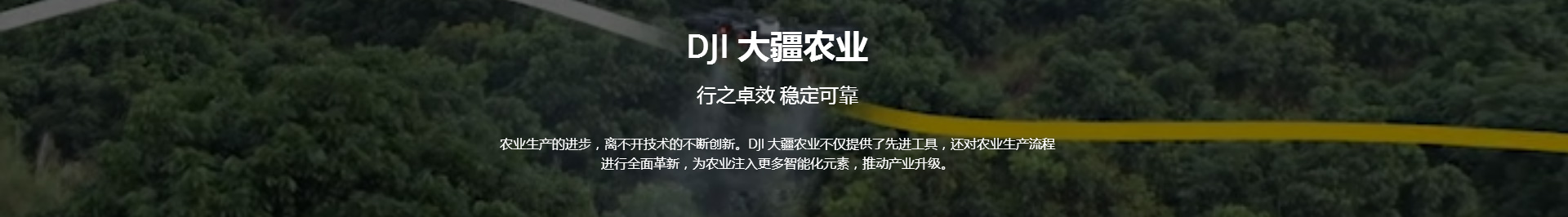 &#20339;&#21338;&#23448;&#26041;&#32593;&#39029;&#29256;&#45;&#20339;&#21338;&#65288;&#20013;&#22269;&#65289;