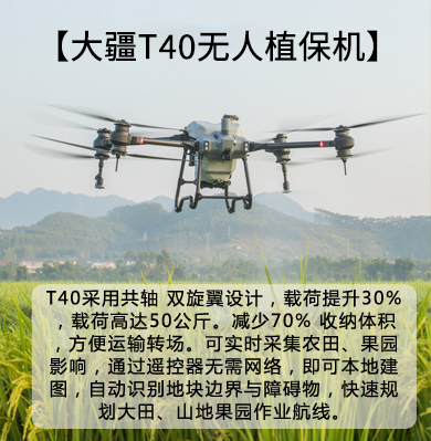 &#20339;&#21338;&#23448;&#26041;&#32593;&#39029;&#29256;&#45;&#20339;&#21338;&#65288;&#20013;&#22269;&#65289;